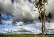 集结日印第安纳步行者备战欧冠，回应争议细节曝光，质疑声仍在，控场能力受关注的简单介绍